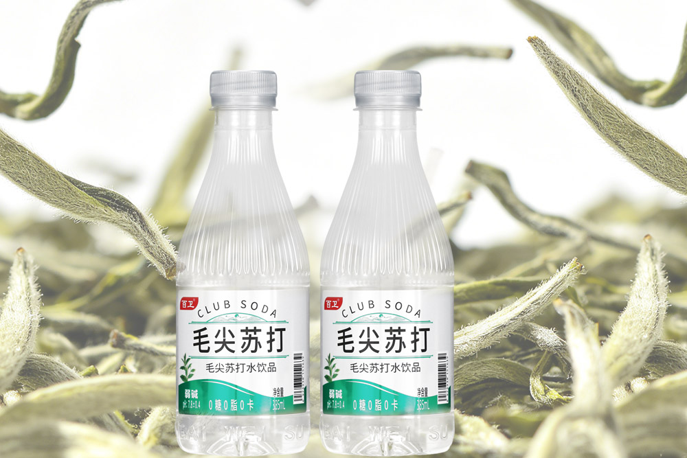 毛尖苏打